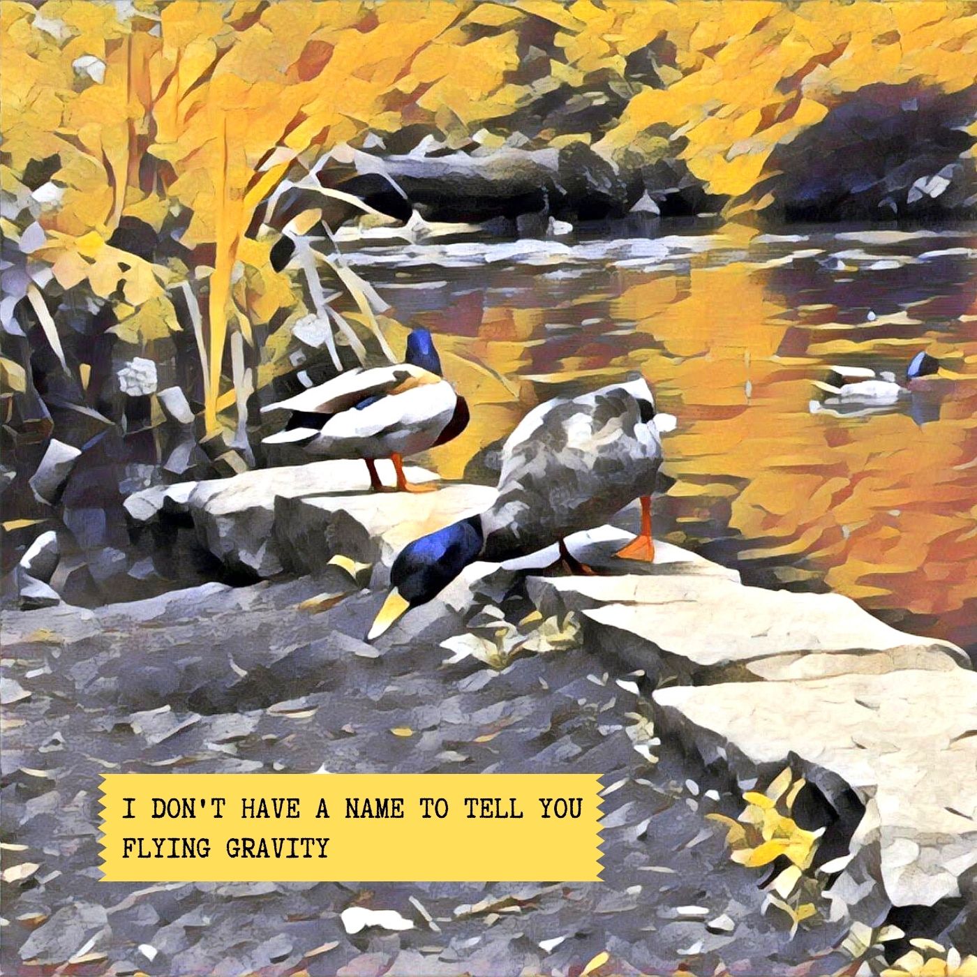 I Don't Have a Name to Tell You